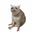 CASHCAT logo